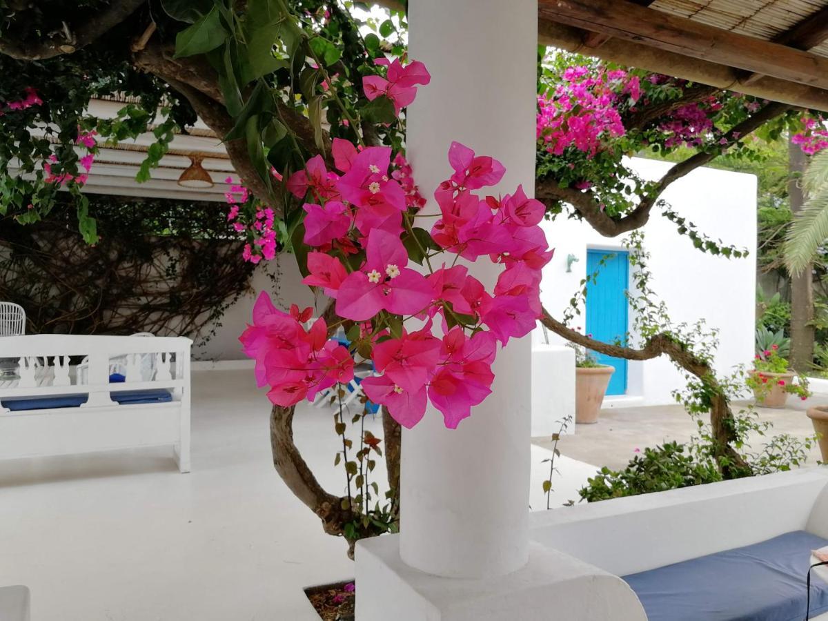 Casa Carlotta Bed and Breakfast Stromboli Exteriör bild