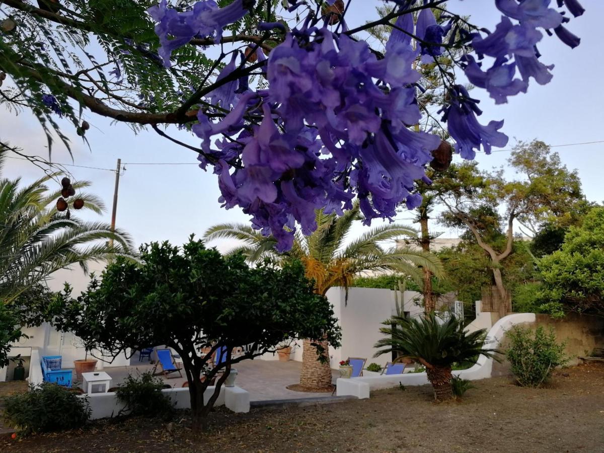 Casa Carlotta Bed and Breakfast Stromboli Exteriör bild